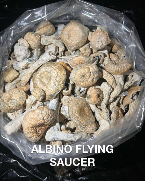 Magic mushrooms