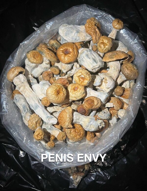 Penis Envy